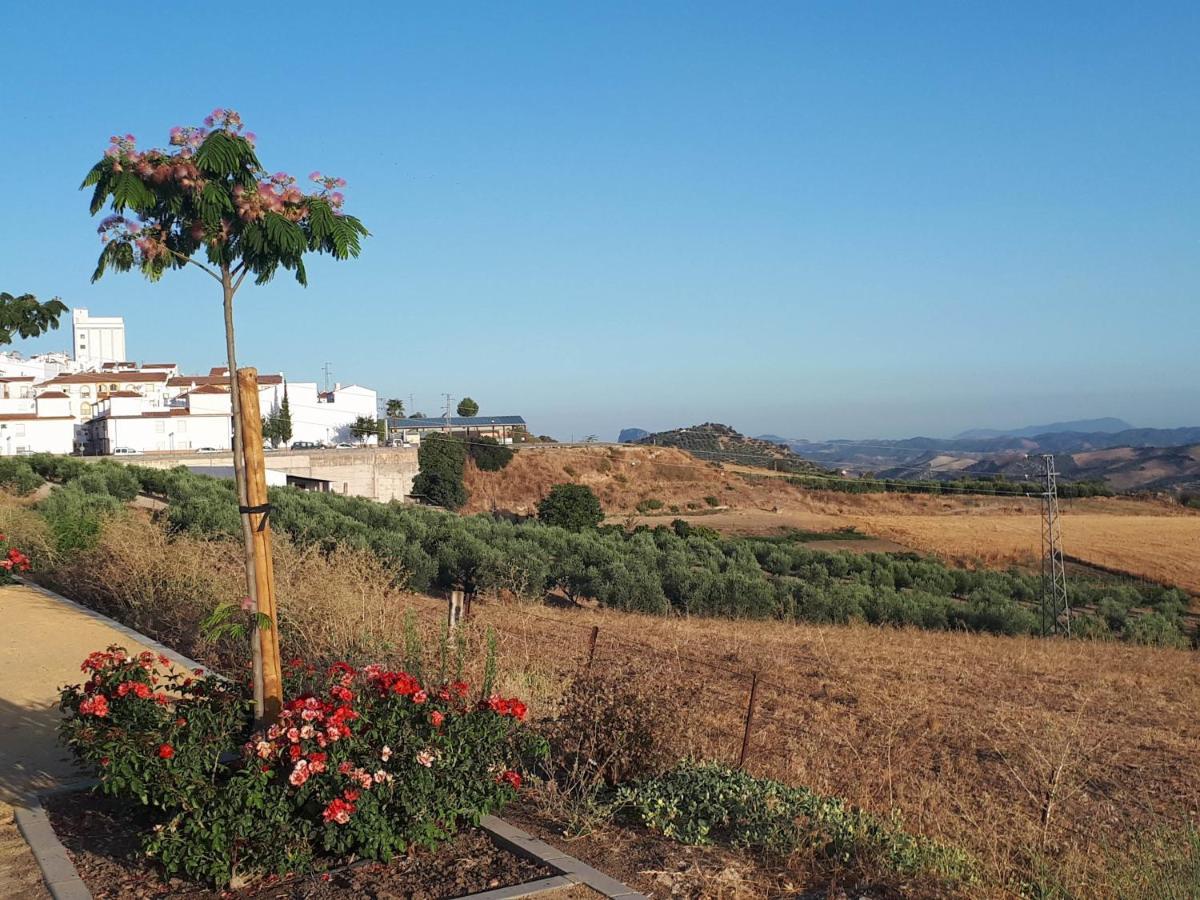 The Jasmine House Hotell Olvera Exteriör bild