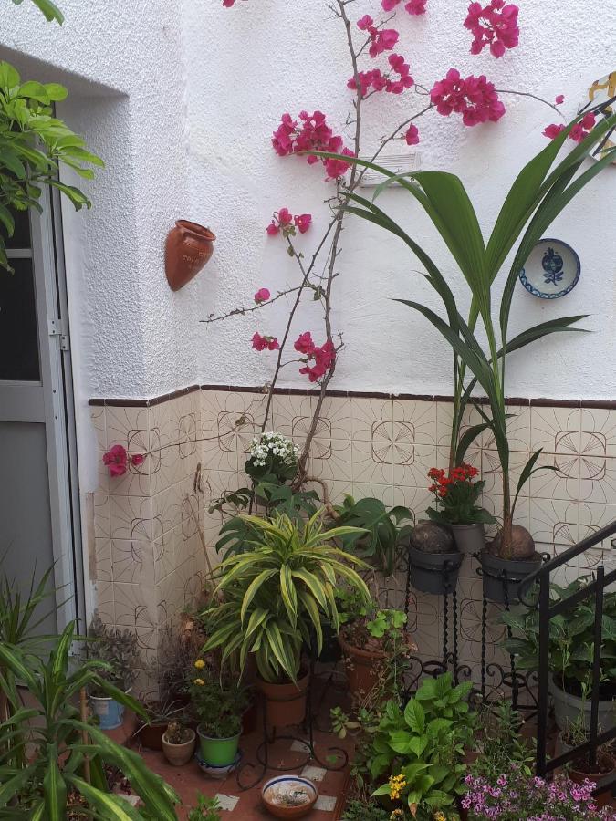 The Jasmine House Hotell Olvera Exteriör bild
